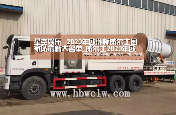 星空娱乐-2020年欧洲杯威尔士国家队最新大名单_威尔士2020年欧洲杯首发大名单(图2) 星空娱乐app
